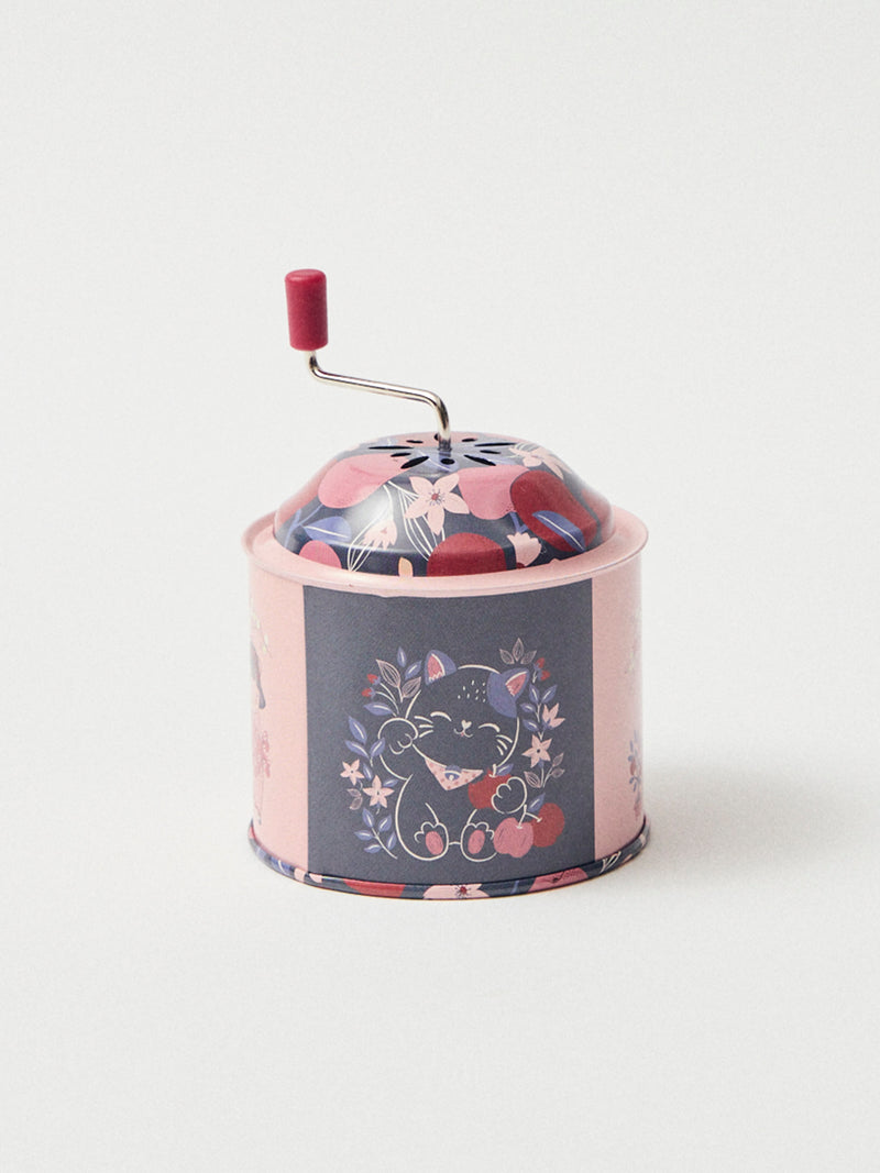 Musikbox in Rosa und Marineblau mit Apfeldruck