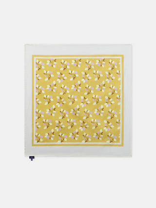 tmp/68893507776/products/8be7302c-bdb9-4e9e-b650-1797da20e259/24E4PFD1ECH_808_114f75b78d-3cdc-4e5f-806b-34902e88766f.jpg