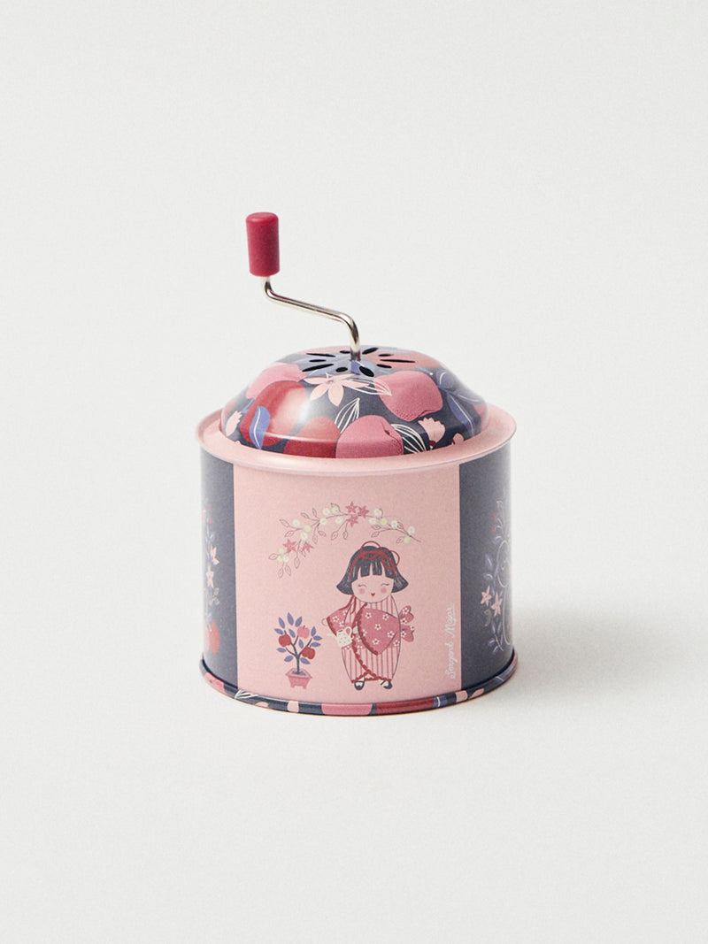 Musikbox in Rosa und Marineblau mit Apfeldruck