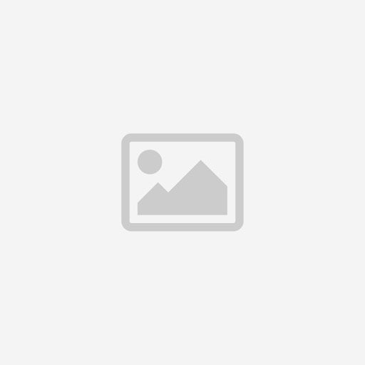 apple icon