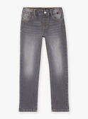 Reguläre graue Jeans FRIZIRAGE2 / 23E3PGB2JEAK004