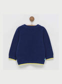 Marineblauer Pullover RAEDOU / 19E1BGC1PUL713