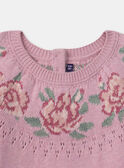 Pulloverkleid in Rosa   LADORETTE / 24H2PFQ2ROBD329