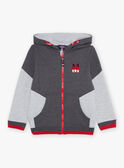 Kapuzen-Sweatshirt grau mit M-Stickerei FRIGILAGE / 23E3PGJ2JGHJ921