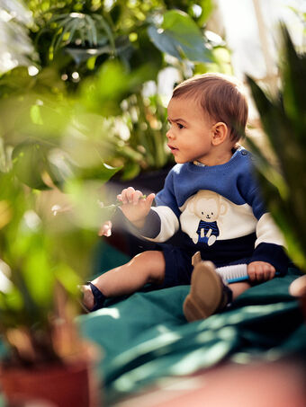 Baby Junge dreifarbiger Pullover mit Affenmotiv CARAYNAL / 22E1BGK1PUL703