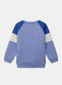 Sweatshirt mit Tiger METRAGE / 25E3PG81SWE221