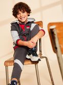 Kapuzen-Sweatshirt grau mit M-Stickerei FRIGILAGE / 23E3PGJ2JGHJ921