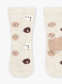 Beigefarbene Socken mit Teddydruck GALAMY / 23H4BGH1SOQA010