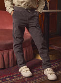 Graue Hose aus Samt LADURAGE / 24H3PGQ1PANJ909