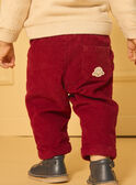 Cordhose  LASAM / 24H1BGR1PAN501