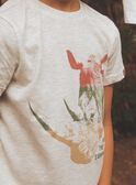 Hellgrau meliertes T-Shirt mit Nashorn FRIZOTAGE3 / 23E3PGD4TMCA011
