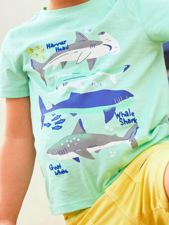 Türkisfarbenes T-Shirt mit Hai-Aufdruck für Kind Junge COTIFAGE / 22E3PGN1TMC203