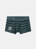 Green BOXER NUIBOXAGE / 25H5PGC1BOX608