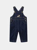 Latzhose aus Raw Denim  MAAYME / 25E1BG71SALP271