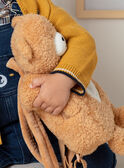 Baby Junge braun Teddybär Rucksack BAFELICE / 21H4BG51BESI804