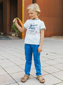 T-Shirt mit Hai-Motiv MLUPICAGE / 25E3PGQ1TMC001