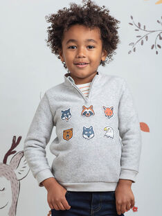 Baby Boy grauer Pullover mit Tierstickerei BIAGE / 21H3PGJ1PULJ902