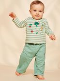 Mandelgrüne Fleece-Hose FACECTOR / 23E1BGB1PAN611
