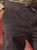 Graue Hose aus Samt LADURAGE / 24H3PGQ1PANJ909