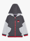 Kapuzen-Sweatshirt grau mit M-Stickerei FRIGILAGE / 23E3PGJ2JGHJ921