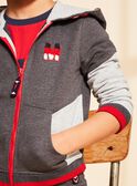 Kapuzen-Sweatshirt grau mit M-Stickerei FRIGILAGE / 23E3PGJ2JGHJ921