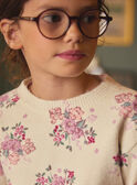 Pullover mit Blumenmuster LADOUETTE / 24H2PFQ1PUL001
