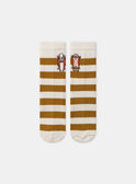 Gestreifte Socken mit Skateboard MASOCAGE / 25E4PG71SOQ114