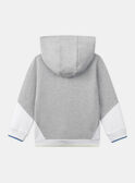 Sweatshirt mit kontrastierender Kapuze KLABASKAGE / 24E3PGN1GIL000