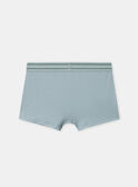 Green BOXER NUIBOXAGE / 25H5PGC1BOX608