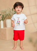 Bermuda-Shorts aus Twill KAOTELLO / 24E1BGN1BER050
