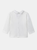Poloshirt mit Hundeprint  LAOLIAM / 24H1BGQ1POL001