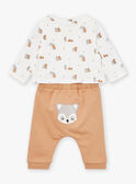 Set aus Oberteil, Hose und Bandana in Haselnussbraun und Ecru LOGAN / 24H0CG13ENS821