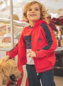Zweifarbiges Kapuzensweatshirt FEGILAGE / 23E3PGB1GIL506