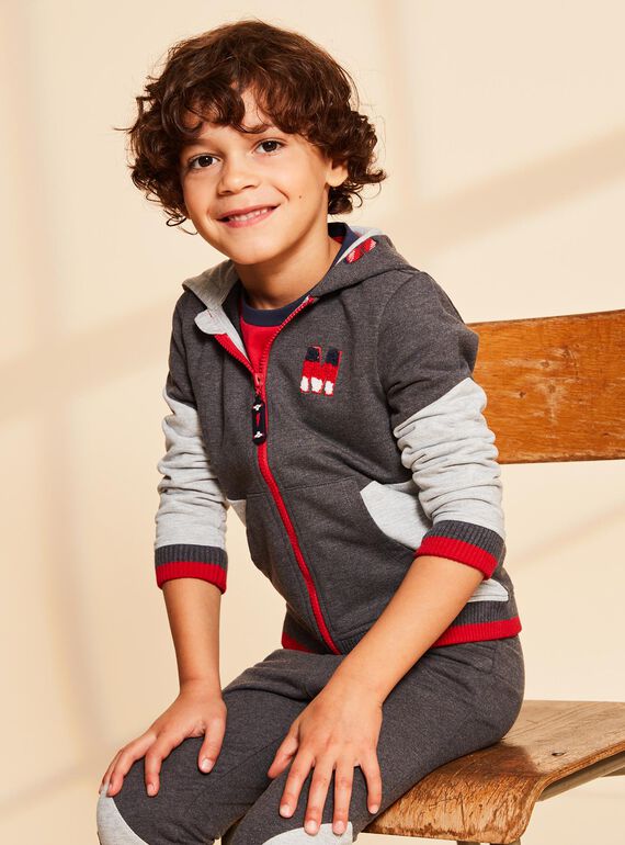 Kapuzen-Sweatshirt grau mit M-Stickerei FRIGILAGE / 23E3PGJ2JGHJ921