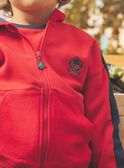 Zweifarbiges Kapuzensweatshirt FEGILAGE / 23E3PGB1GIL506