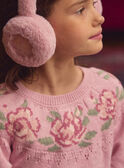Pulloverkleid in Rosa   LADORETTE / 24H2PFQ2ROBD329