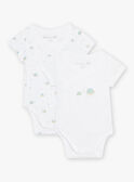 Satz von 2 sortierten Schildkröte bodysuits Geburt gemischt COROL / 22E0NMI1BOD000