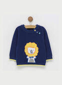 Marineblauer Pullover RAEDOU / 19E1BGC1PUL713
