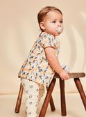 Vanille-Satinbluse mit Fruchtaufdruck FAPENNY / 23E1BFO1CHE114