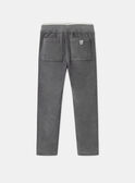 Graue Hose aus Samt LADURAGE / 24H3PGQ1PANJ909