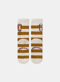 Gestreifte Socken mit Skateboard MASOCAGE / 25E4PG71SOQ114