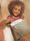 Colorblock-Poloshirt mit Dinosaurier FRIPLAGE1 / 23E3PGD1POL628