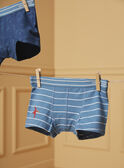 3er-Set Dino-Boxershorts LUIBOXAGE / 24H5PG52BOXC242