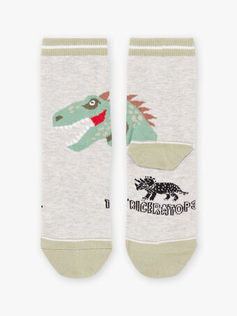 Baby Boy's Grey Dinosaurier Socken BASOCAGE / 21H4PG21SOQ943