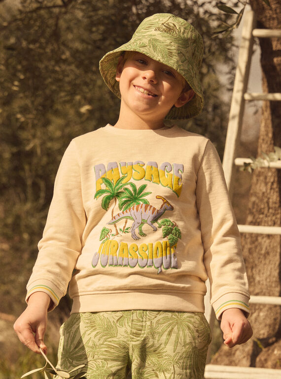 Sweatshirt Jurassic MLEGRINAGE / 25E3PGO1SWE114