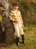 Gestreiftes Poloshirt mit Skateboard MADOAGE / 25E3PG71POL812