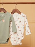 2 Bodys aus Baumwolle in Ecru und Khaki LOUIS / 24H0NG11BOD001