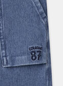 Bequeme Hose aus Denim MECOULAGE / 25E3PG81JEAP270