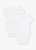 Satz von 2 sortierten Schildkröte bodysuits Geburt gemischt COROL / 22E0NMI1BOD000