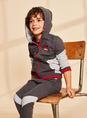 Kapuzen-Sweatshirt grau mit M-Stickerei FRIGILAGE / 23E3PGJ2JGHJ921